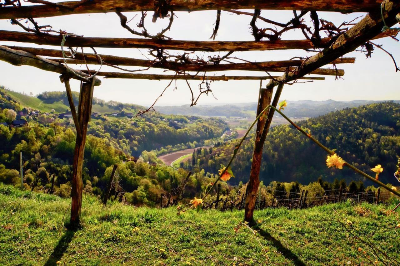 Ferienhaus Haring Kitzeck im Sausal Esterno foto